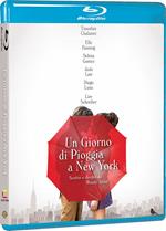 Un giorno di pioggia a New York (Blu-ray)